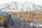 USA, Colorado, Gunnison National Forest. Snow on East Beckwith Mountain and forest in autumn. Art Print
